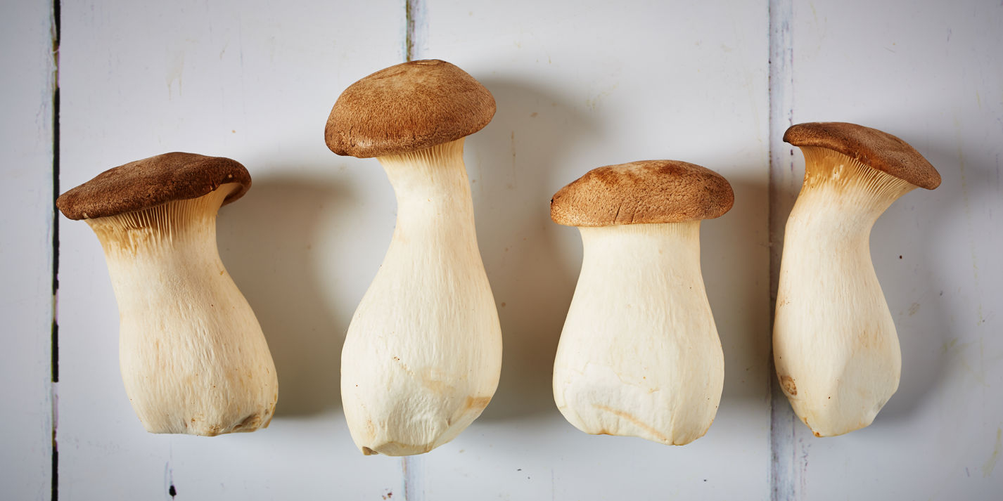 A bunch of mushrooms growing on the ground