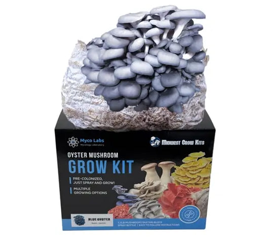 Blue Oyster Mushroom Grow Kit