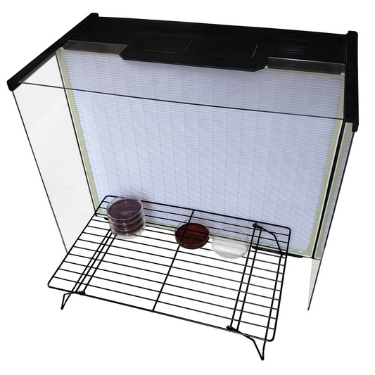 A front-facing view of an extra-large laminar flow hood with a large HEPA filter, transparent side panels, and a black metal rack holding Petri dishes.