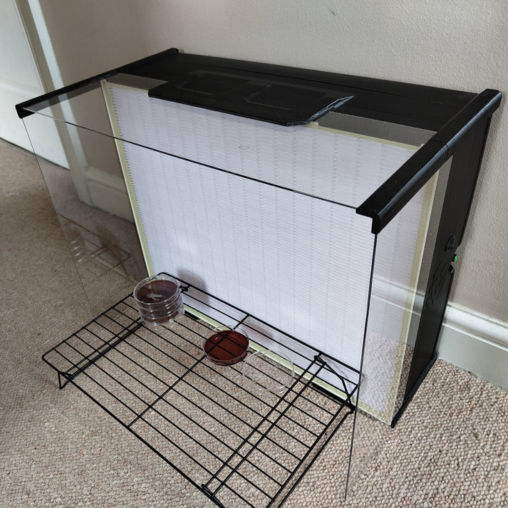 A top-down view of an extra-large laminar flow hood, showing its black housing, HEPA filter, and workspace with Petri dishes on a metal rack.