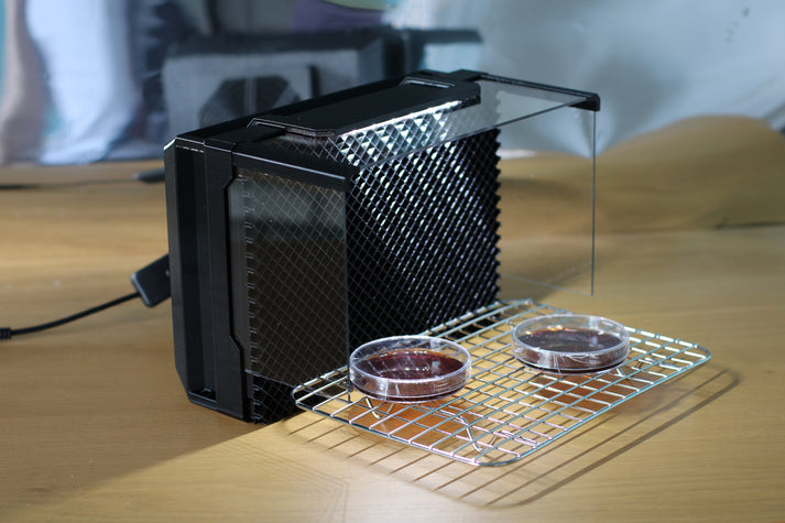 Angled view of the small laminar flow hood, highlighting the detachable mesh, acrylic shield, and airflow design. The setup includes a stainless steel rack and Petri dishes.