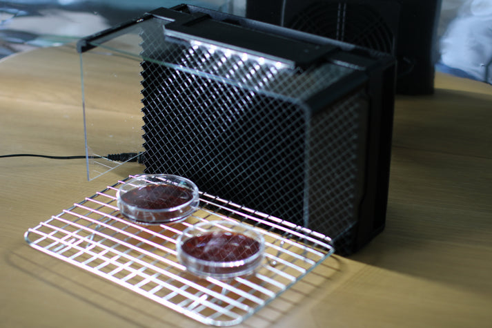 Front view of the small laminar flow hood. A stainless steel rack with two Petri dishes is positioned in front of the filter.