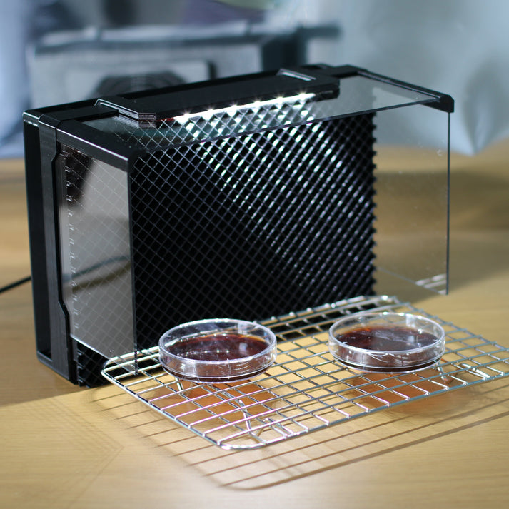 Close-up of the small laminar flow hood with an optional LED work light turned on, illuminating the workspace. The stainless steel rack and Petri dishes are in front of the filter.